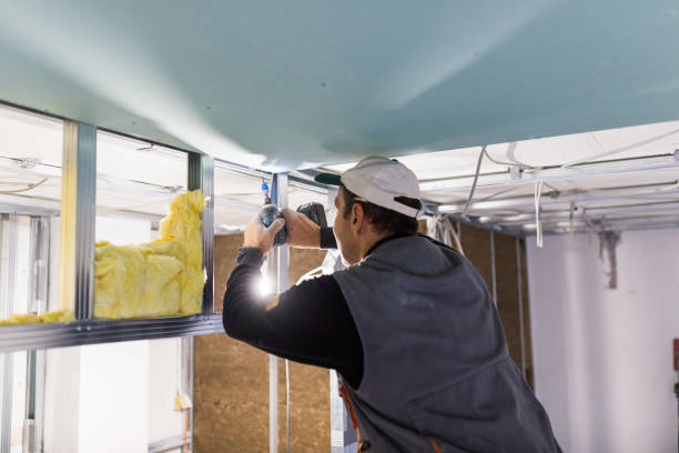 Best Garage Insulation  in Eagle Butte, SD